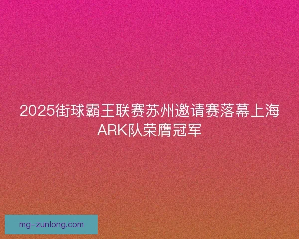 2025街球霸王联赛苏州邀请赛落幕上海ARK队荣膺冠军